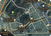 위성 맵 유형